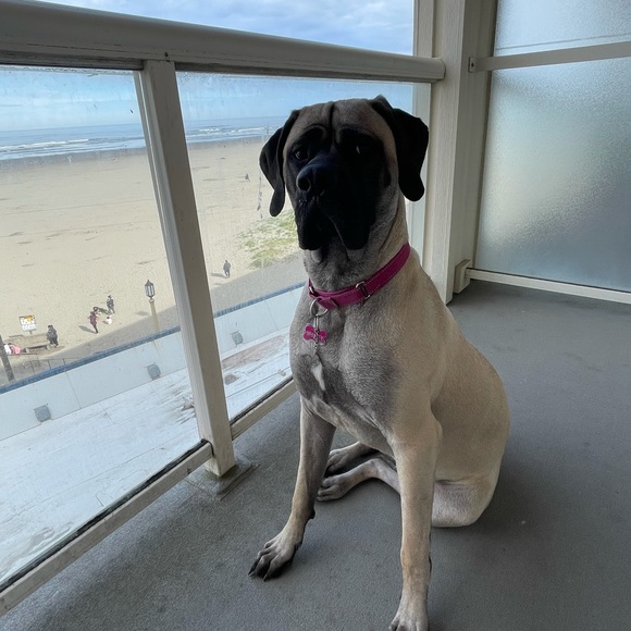 Meet your Poshers, Kim and Annabelle! - Picture 4 of 4